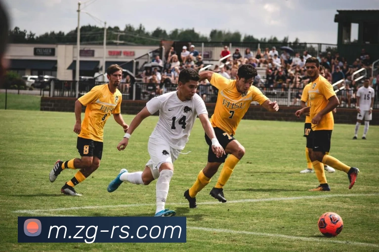 半岛网页版登录入口全站App